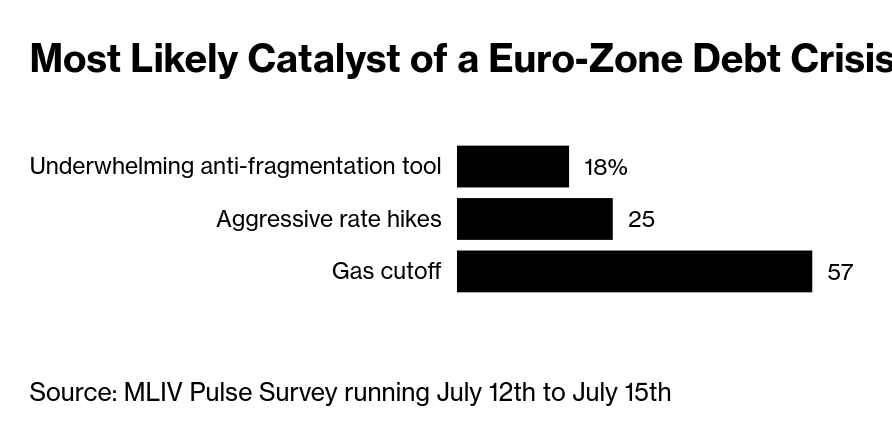 /brief/img/Screenshot 2022-07-18 at 08-43-57 Investors Bet Euro Will Continue Slide to $0.9 Survey Finds.png